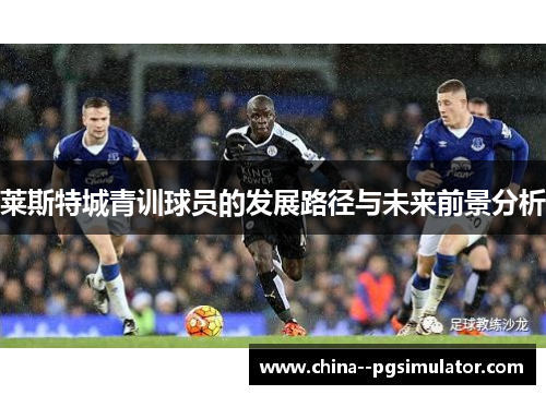 莱斯特城青训球员的发展路径与未来前景分析