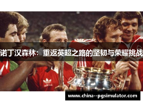 诺丁汉森林：重返英超之路的坚韧与荣耀挑战