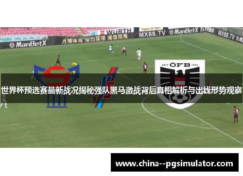 世界杯预选赛最新战况揭秘强队黑马激战背后真相解析与出线形势观察