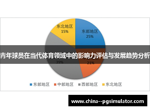 青年球员在当代体育领域中的影响力评估与发展趋势分析