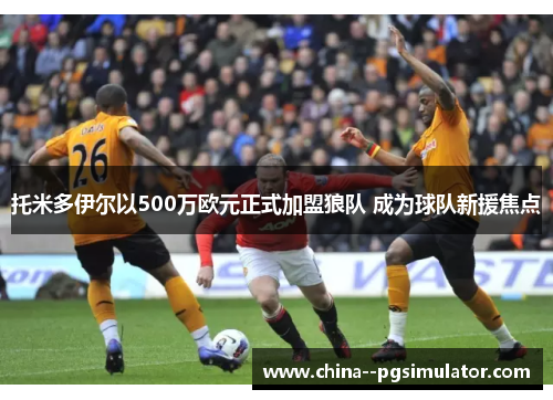 托米多伊尔以500万欧元正式加盟狼队 成为球队新援焦点