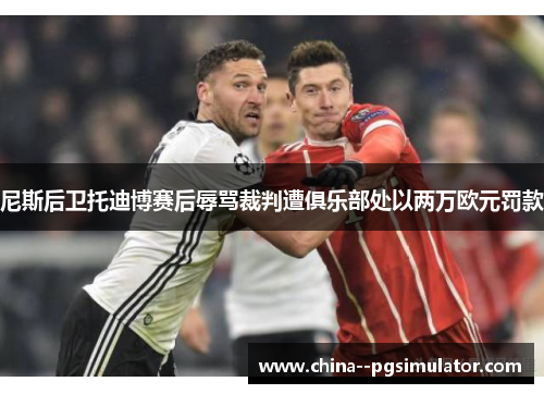 尼斯后卫托迪博赛后辱骂裁判遭俱乐部处以两万欧元罚款